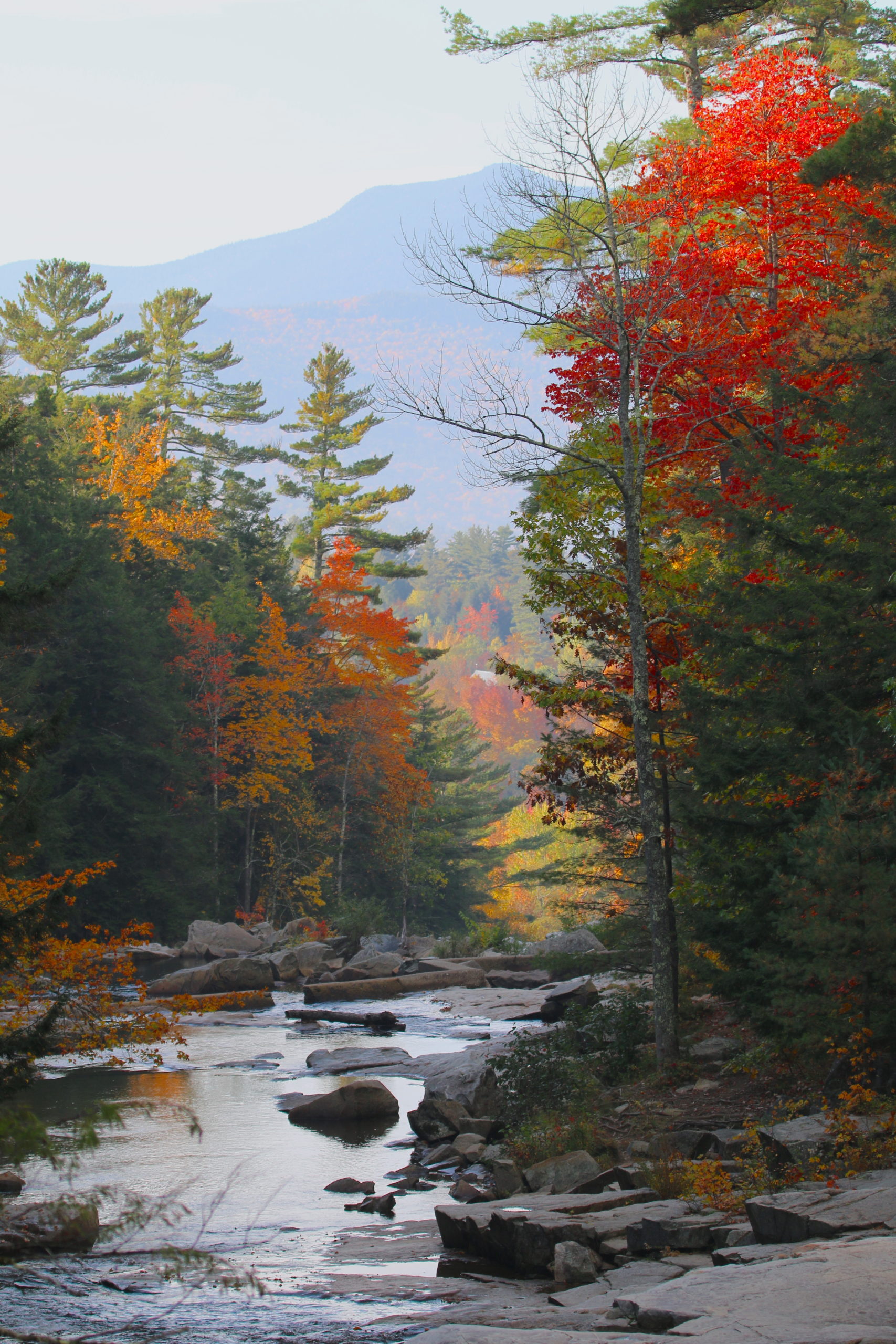 11 NOVEMBER Laura Wykstra JacksonFalls View from the top of Jackson Falls, Jackson, NH, by Laura Wykstra