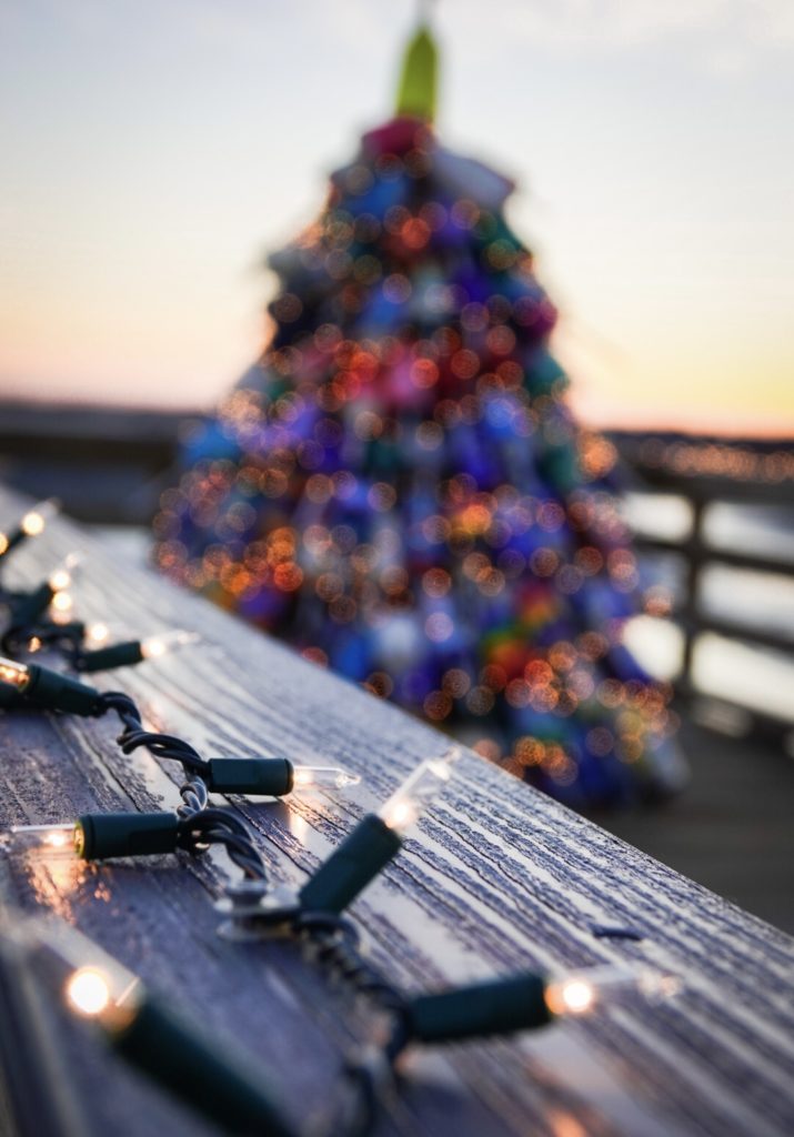 The beautiful buoy tree, Wells, ME, by Sara Hajny