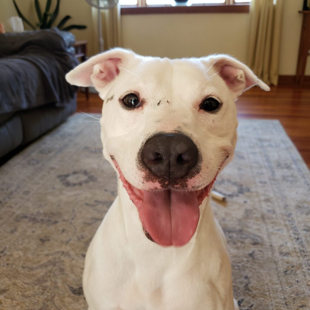 Keegan has the best smile!