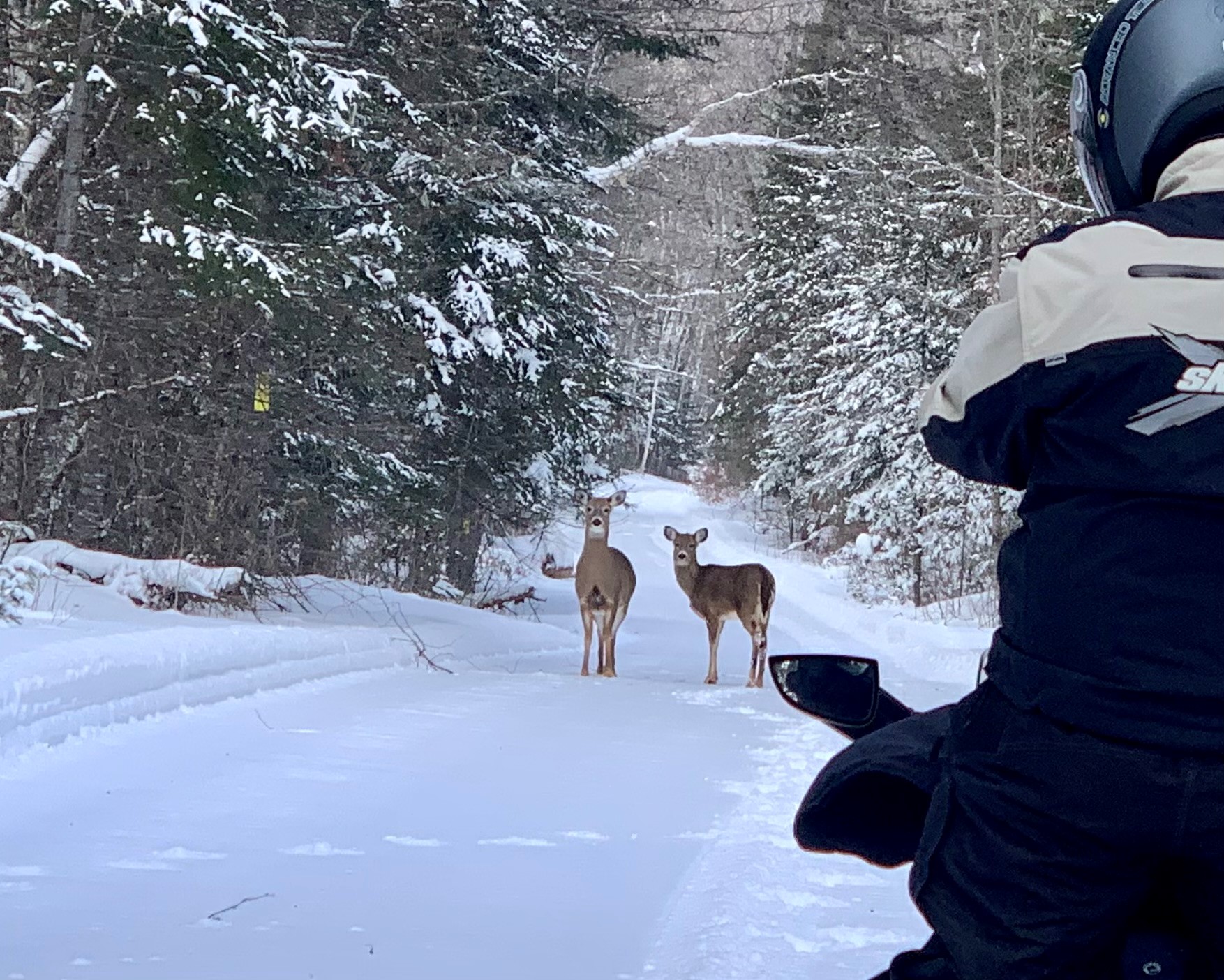 2FEBRUARY Bethany Lebida Deer Snowmobiling to Oxbow and ran into some friends, Masardis, ME, by Bethany Lebida