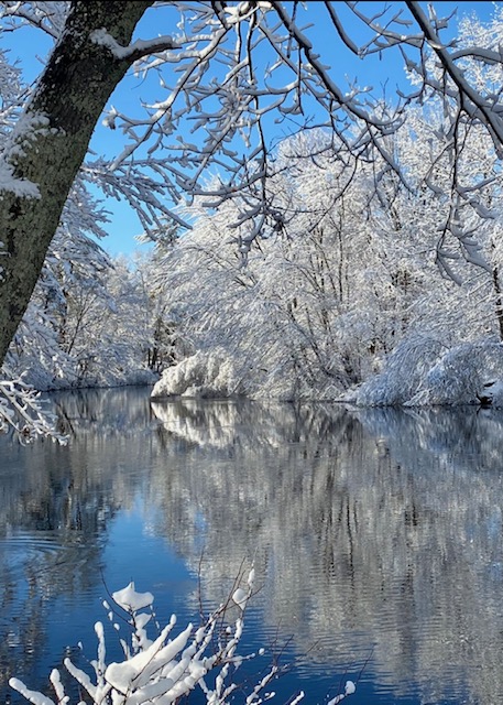 HSpitznas2 Heavy Snowfall, North Berwick, ME, by Holly Spitznas