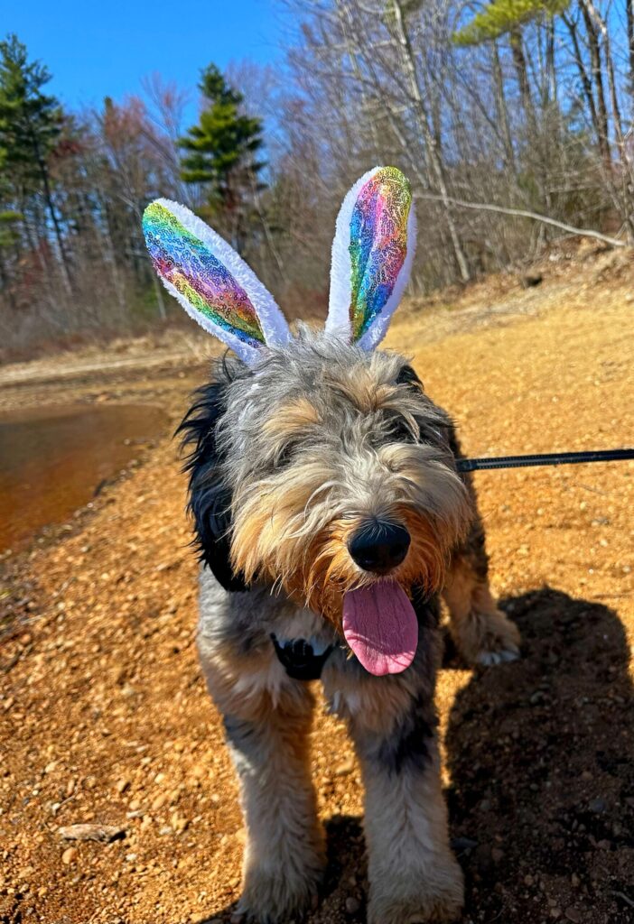 Ollie Walter—Easter 2025