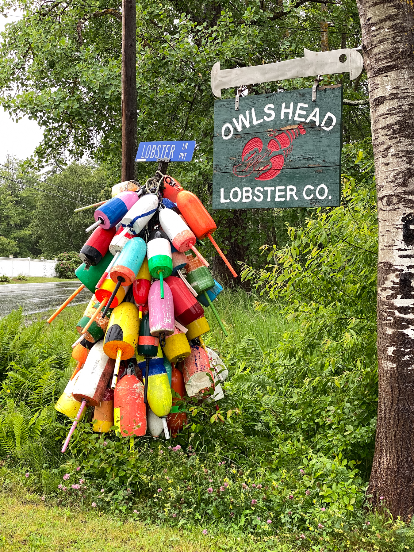 PGarrett1 A colorful string of buoys marks the entrance to a lobster company, Owls Head, ME, by Patricia Garrett