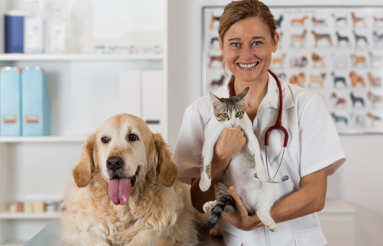 Veterinarians